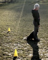 /album/fotogalerie-obedience/obedience-jpg/