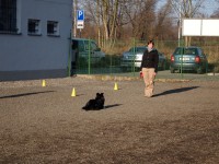 /album/fotogalerie-obedience/p3167342-jpg/