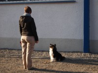 /album/fotogalerie-obedience/p3167379-jpg/