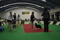 /album/fotogalerie-vystavni-ne-uspechy/dsc-0073-jpg/