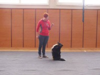 /album/fotogalerie-dog-dancing/a1780758-276078065880893-375694365-n-jpg1/