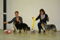 /album/fotogalerie-vystavni-ne-uspechy/a1622742-389717251183640-1501032280882121986-n-jpg1/