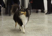 /album/fotogalerie-vystavni-ne-uspechy/a1-jpg3/